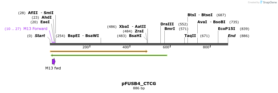 70951_map