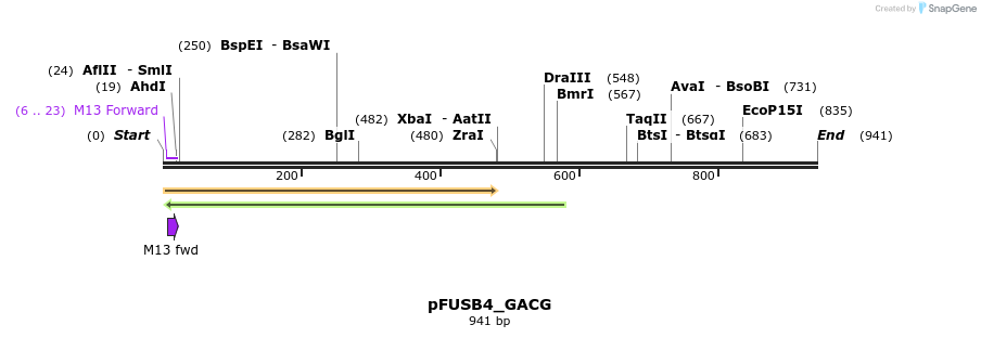 70954_map