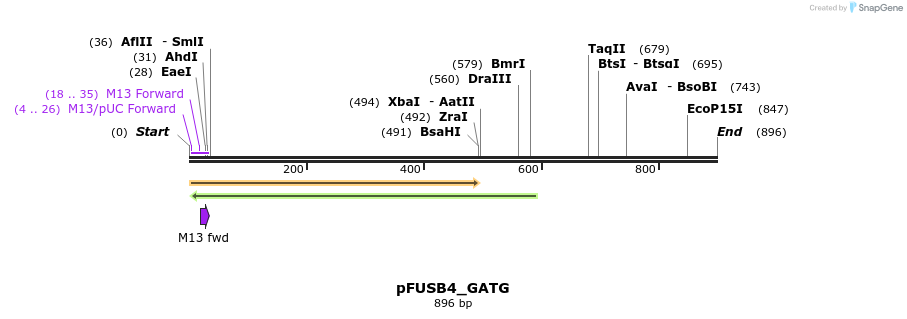 70955_map