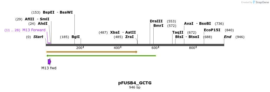 70957_map