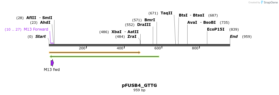 70962_map