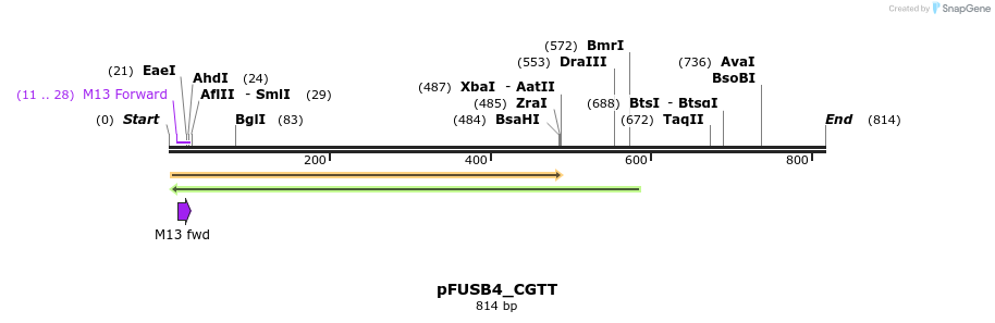 70964_map