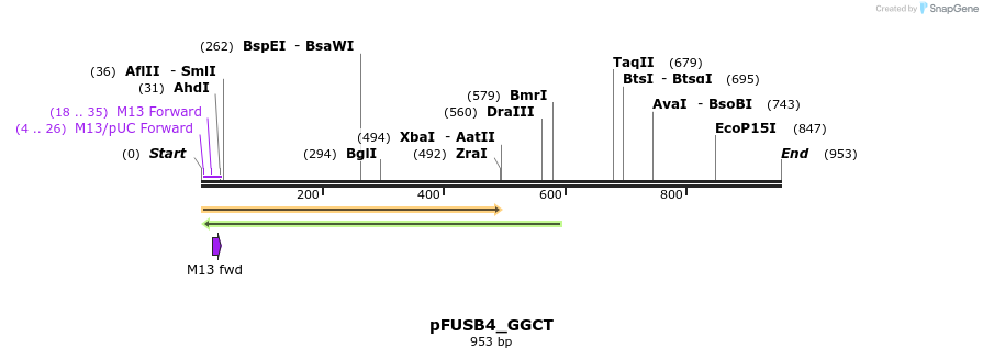 70972_map