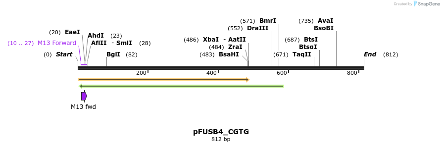 70974_map
