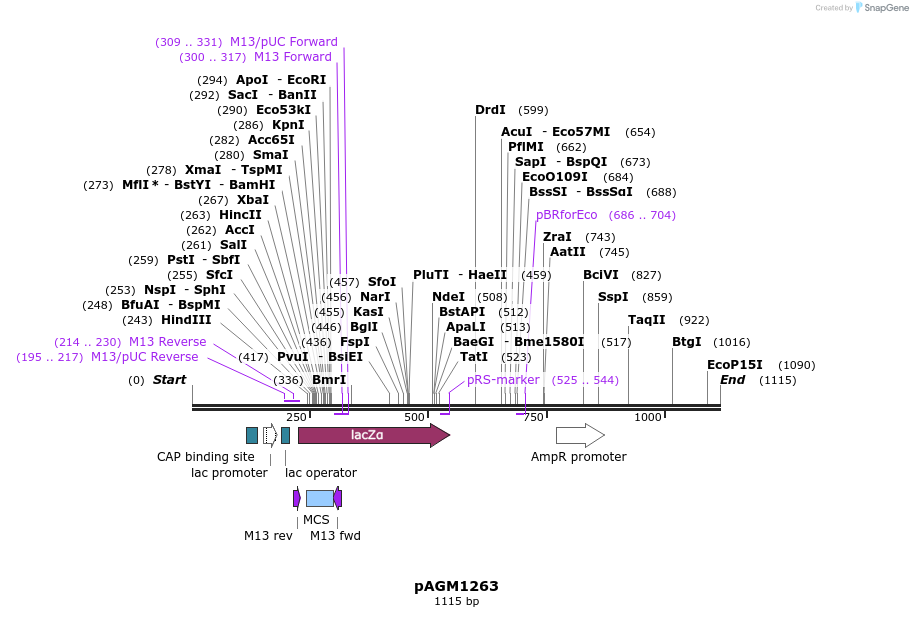 70977_map