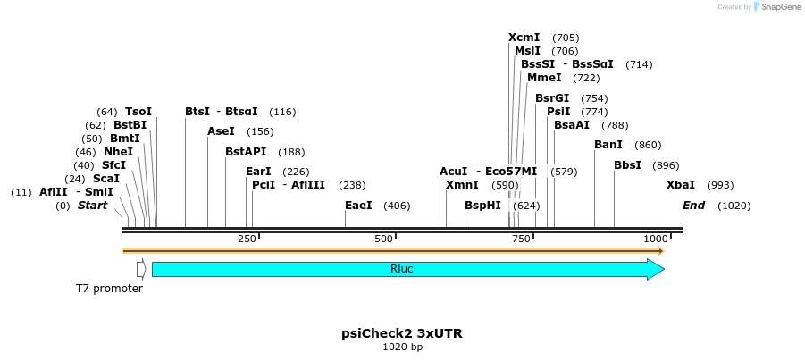 70978_map