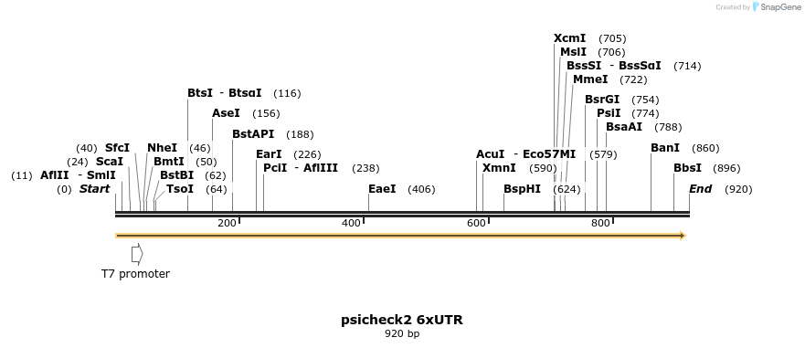 70979_map