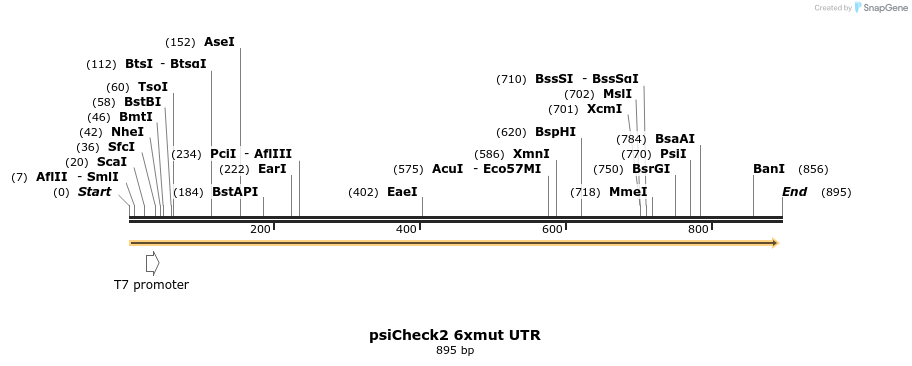 70980_map