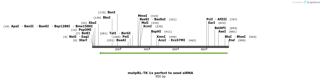 70981_map