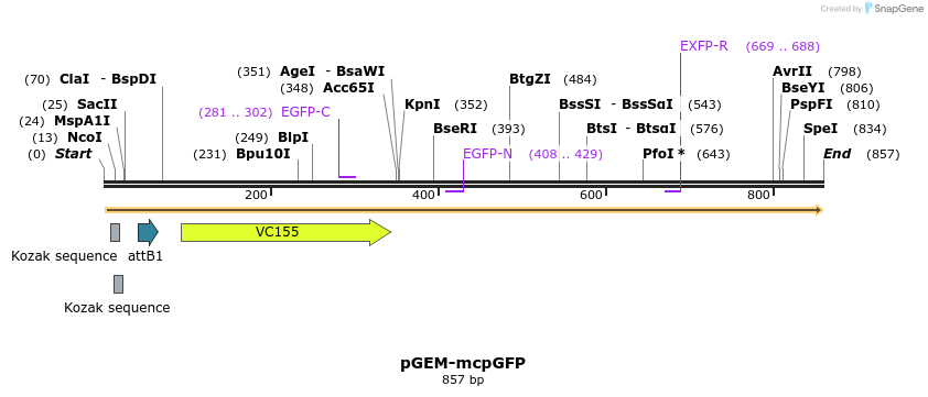 70984_map
