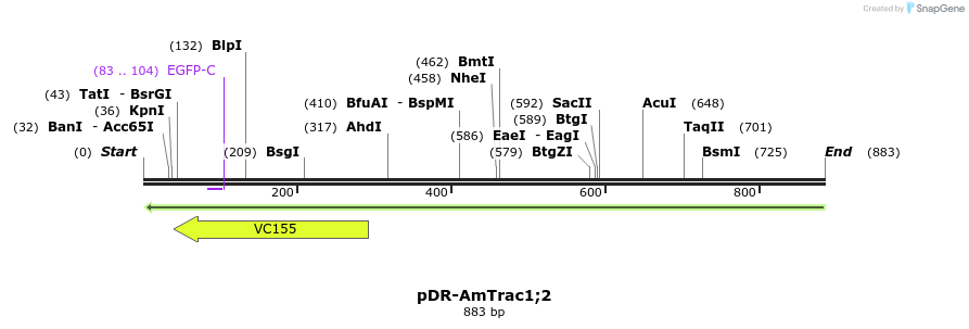 70986_map