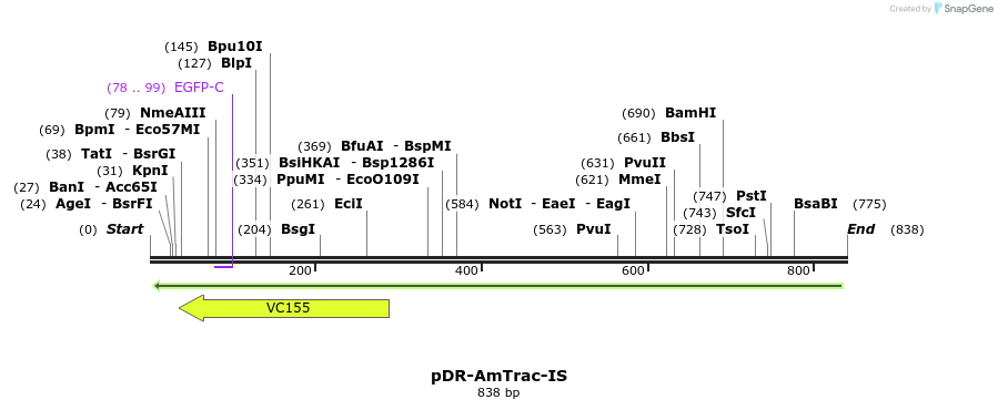 70987_map