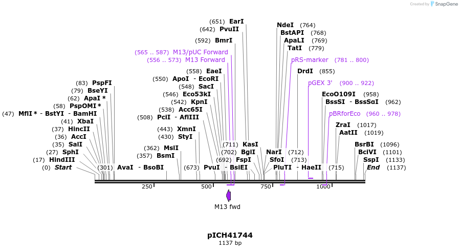70989_map