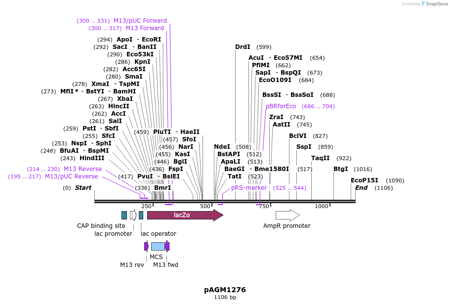 70993_map