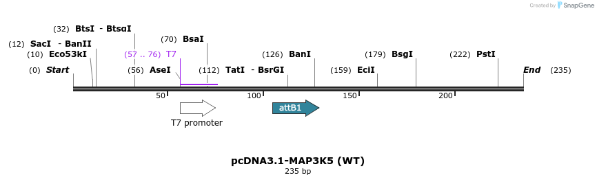 71002_map