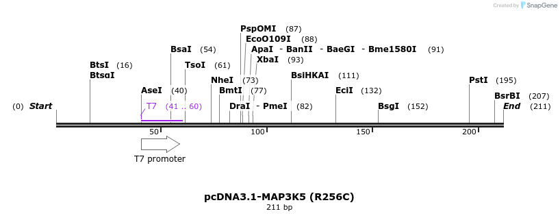 71003_map