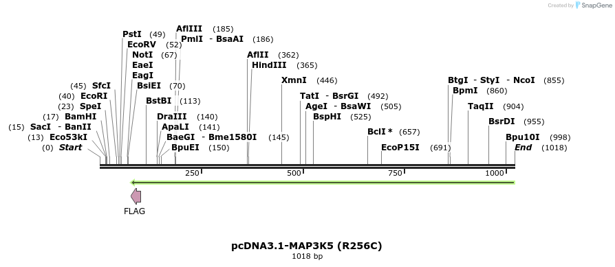 71004_map