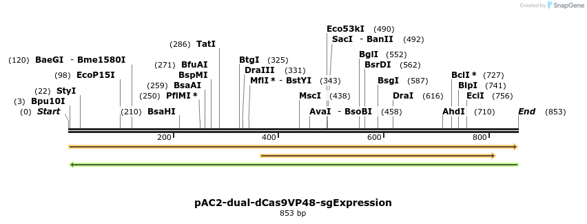 71019_map