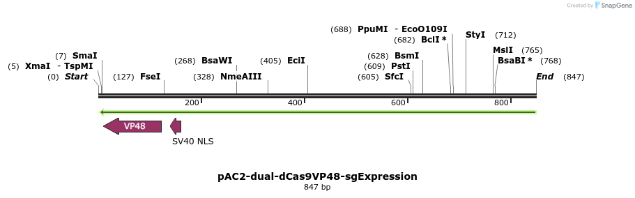 71022_map