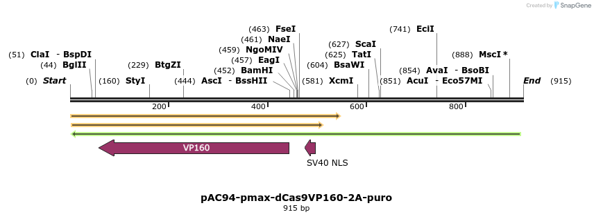 71023_map