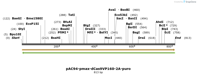 71024_map