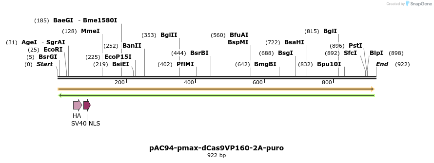 71025_map