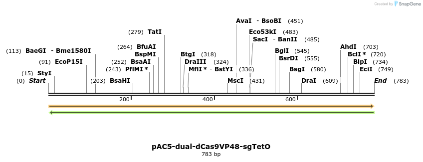71027_map