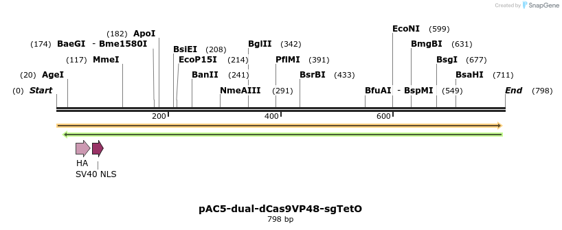 71028_map