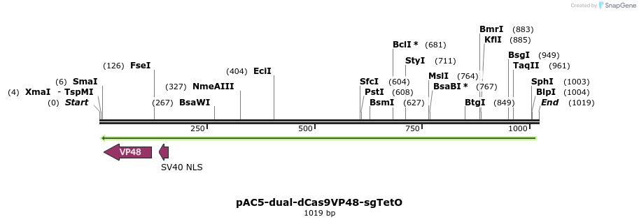 71029_map