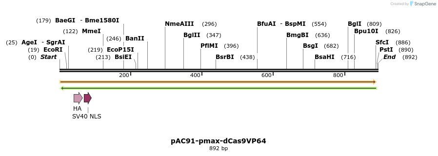 71048_map