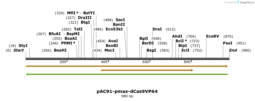 71049_map