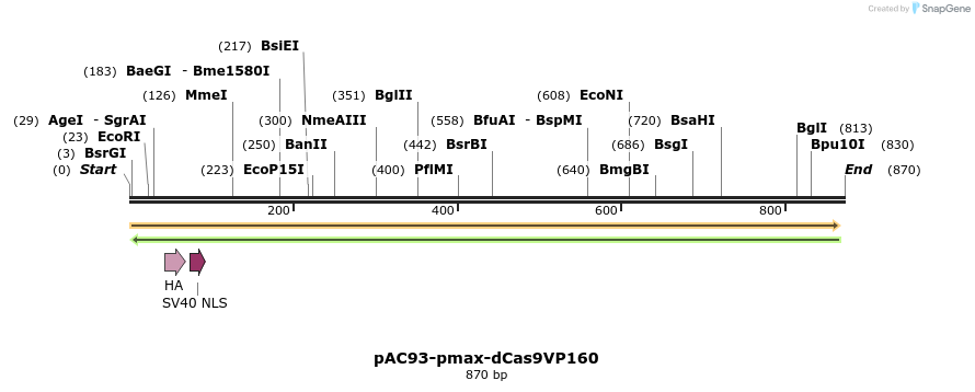71052_map