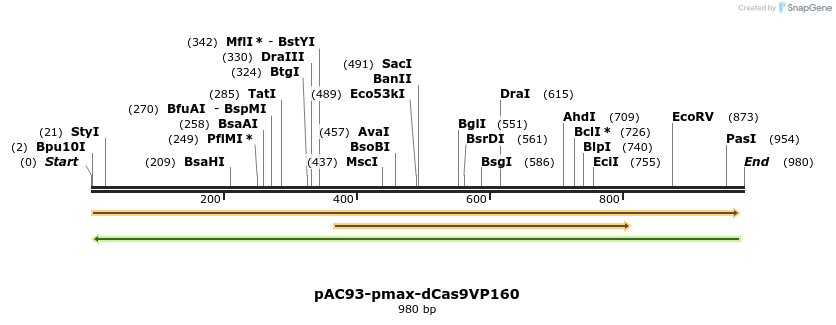 71053_map