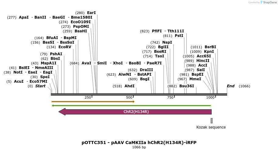 71055_map