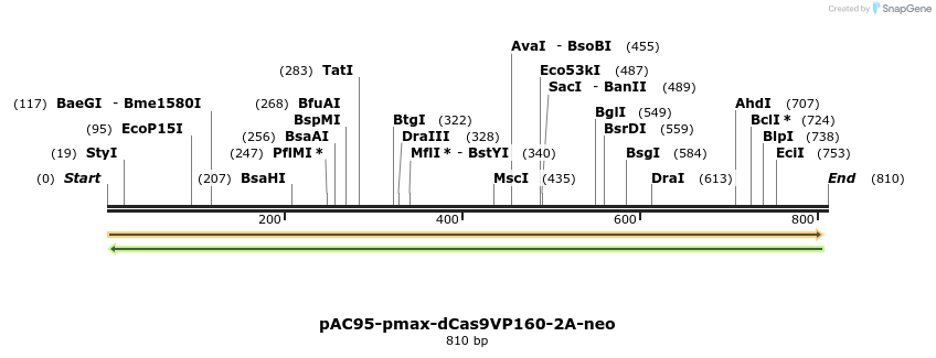 71056_map