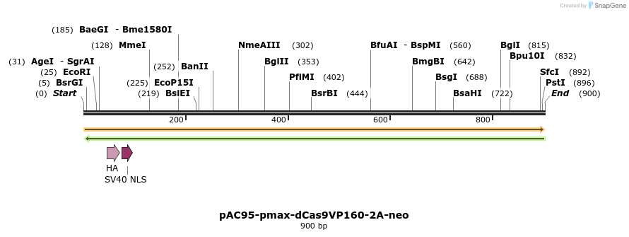 71057_map