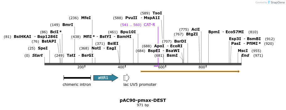 71058_map