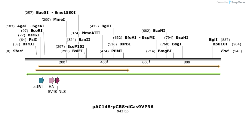 71065_map