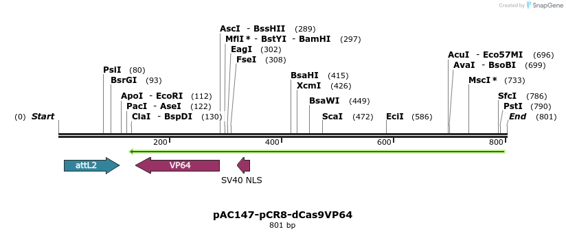71066_map