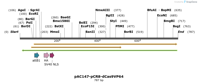 71068_map