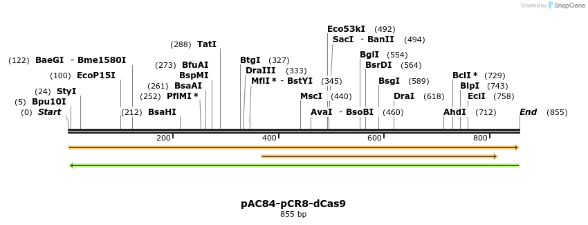 71070_map