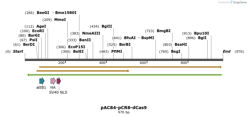 71071_map