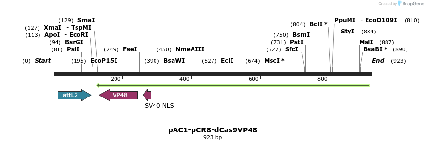 71072_map