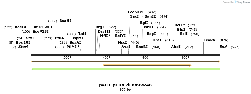 71073_map