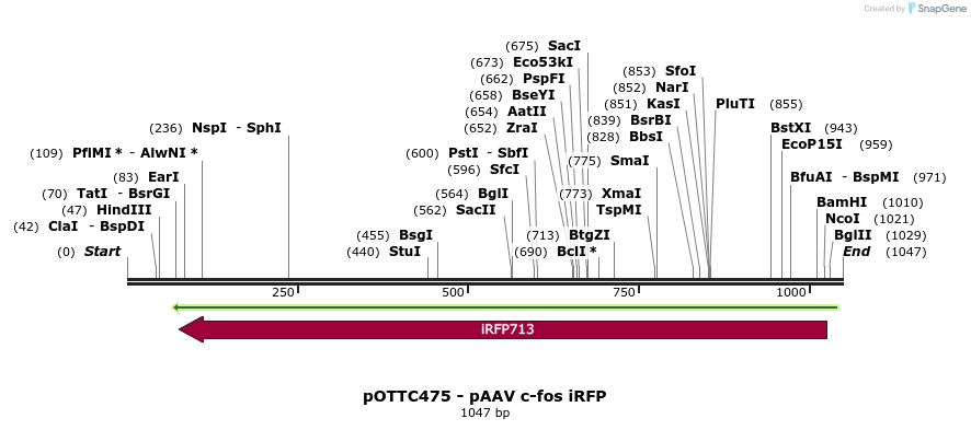 71076_map