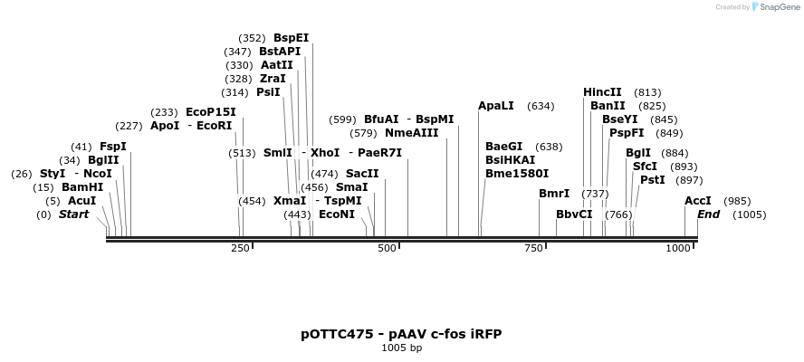 71077_map