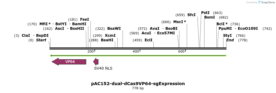 71081_map