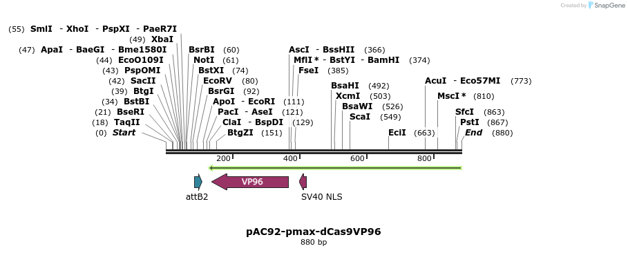 71083_map