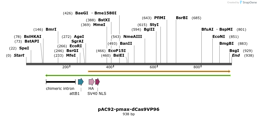 71084_map