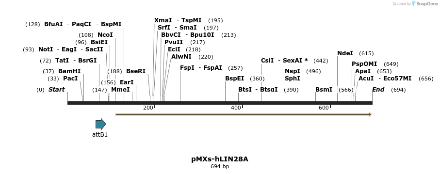 71085_map